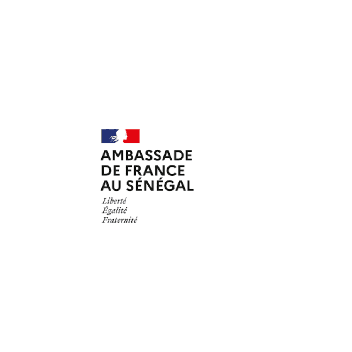 Partenaire 9
