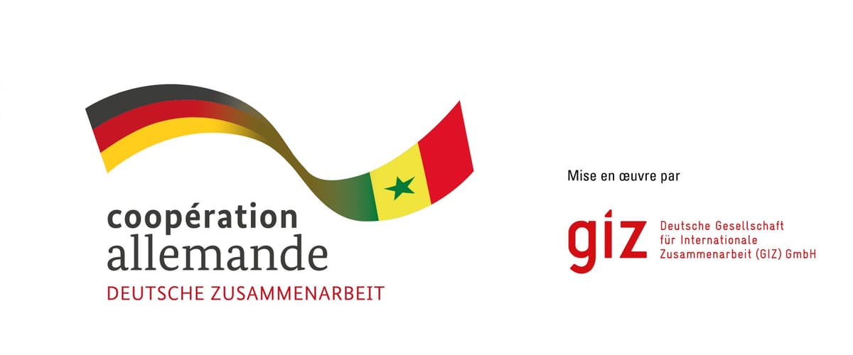 Partenaire 16